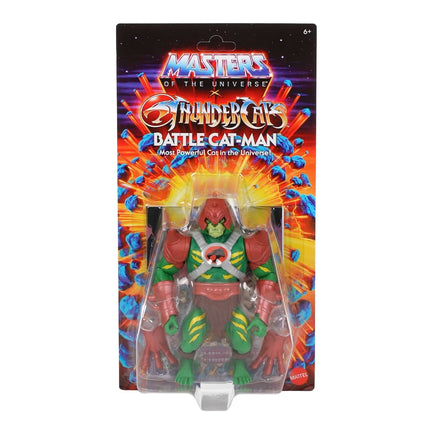 Masters of the Universe x Thundercats Wave 1 Action Figure